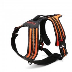 Truelove Forest koeratraksid - TLH5551