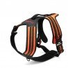 Truelove Forest koeratraksid - TLH5551