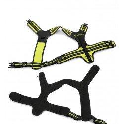 Truelove Forest koeratraksid - TLH5551