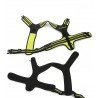 Truelove Forest koeratraksid - TLH5551