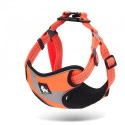 Truelove treeningkoera rakmed - TLH5991