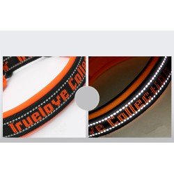 Truelove Stop koerakaelarihm - TLC5371
