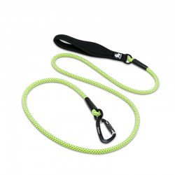 Truelove jooksukoerarihm - TLL2571