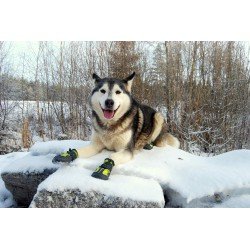 Truelove koera haakekonksuga saapad - TLS3961