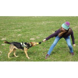 Truelove Dog Clubi koeratreeningkott - TLT1951