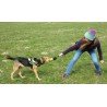 Truelove Dog Clubi koeratreeningkott - TLT1951