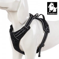 Truelove Country treeningkoera rakmed - TLH5651